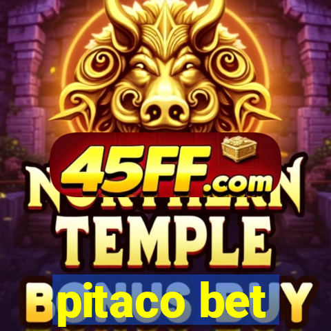 pitaco bet